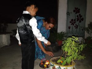 Tulasi Plant Diwali