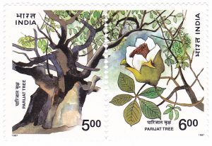 Parijat Tree Stamp