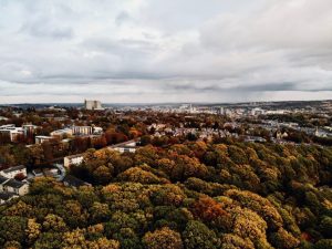 Urban Forests