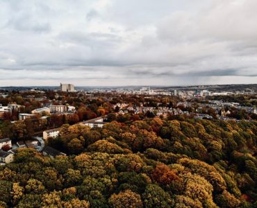 Urban Forests
