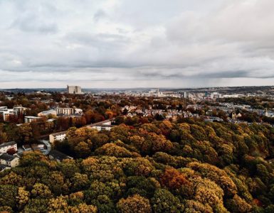 Urban Forests