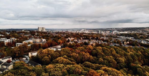 Urban Forests