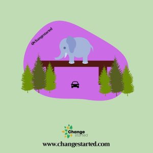 What is Animal Bridge