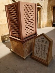 Tulsi Plant - Amer Fort Jaipur