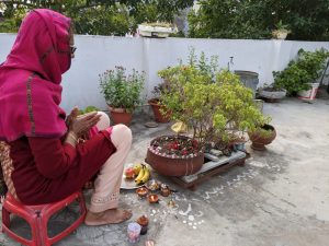 Tulsi Vivah Ceremony