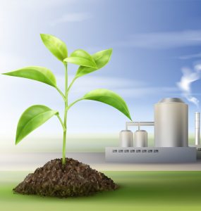 Bio fuels