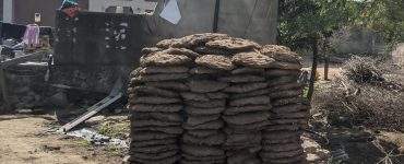 cow dung