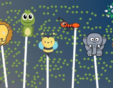 Wildlife Conservation