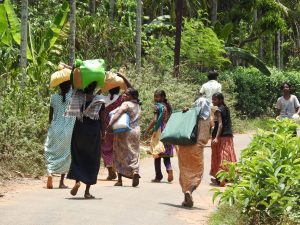 Migrant Labourers