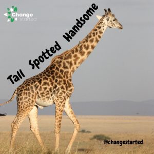 Why Giraffes are important