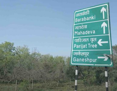 Parijat Tree Board