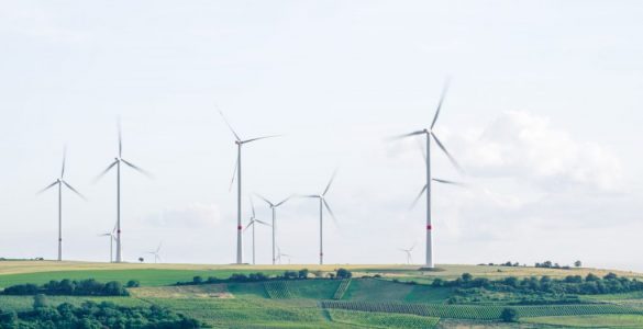 Renewable Energy Wind