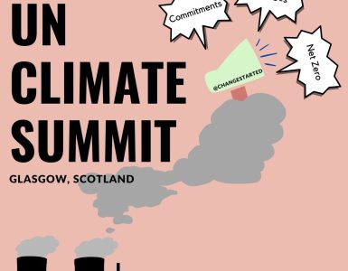 India at Glasgow Climate Summit