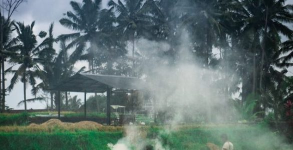 Crop Stubble Burning