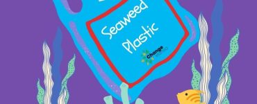 Seaweed Plastic