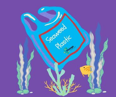 Seaweed Plastic