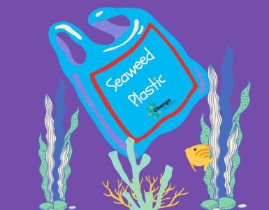 Seaweed Plastic