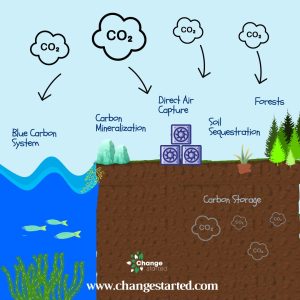 Carbon Capture and Carbon Sequestration
