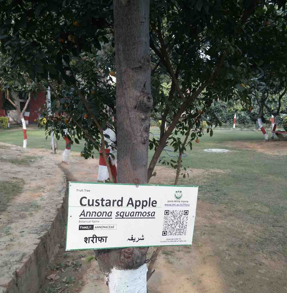 tree-identification-using-technology-at-a-delhi-college-change-started