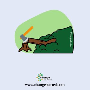 What is Deforestation