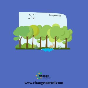 What is Importance of Forests