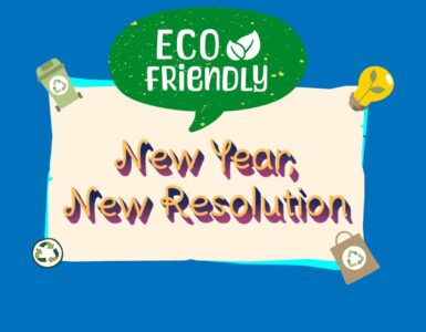Eco Friendly New Resolution Ideas