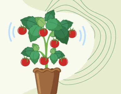 Plant Sounds