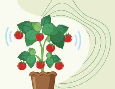 Plant Sounds