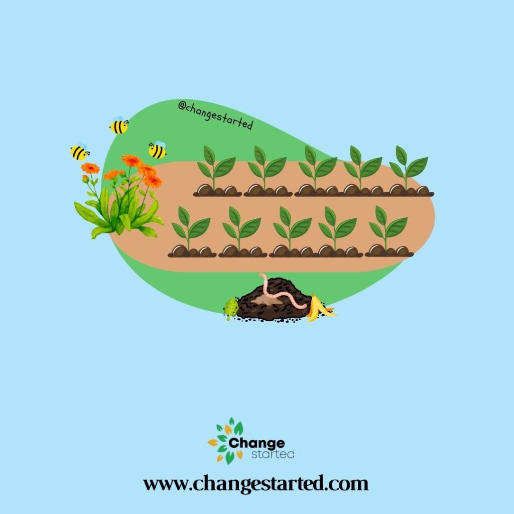 What Is Organic Farming – Change Started