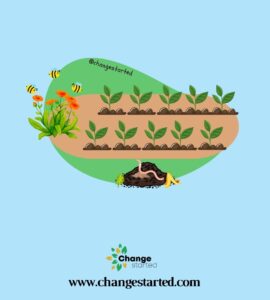 What is Organic Farming