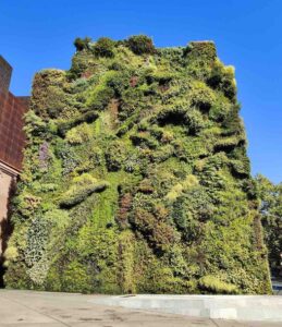 Vertical Garden in Madrid