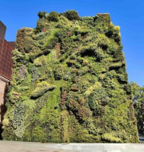 Vertical Garden in Madrid