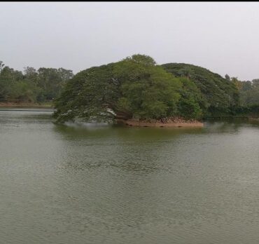 Lalbagh Lake