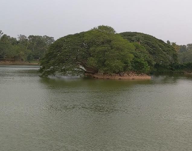 Lalbagh Lake