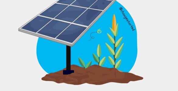 What is Agrivoltaics